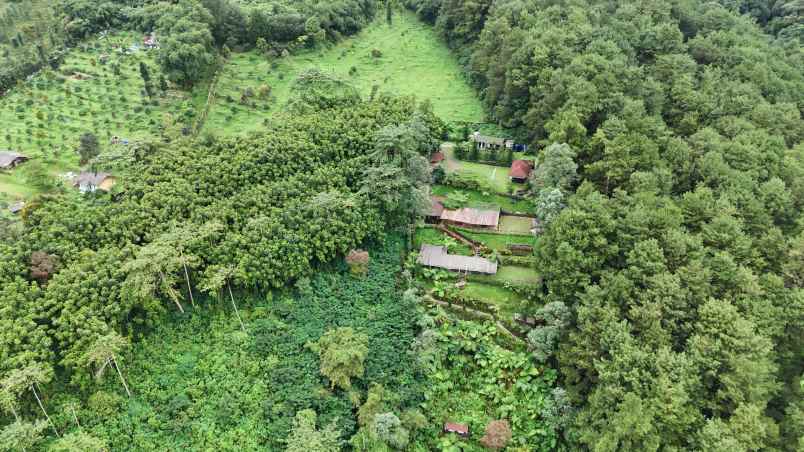 dijual tanah desa sukajadi