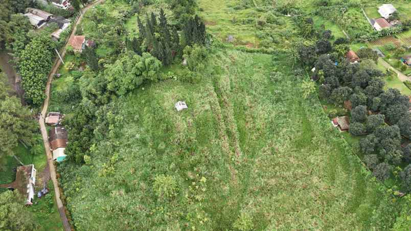 dijual tanah desa sukajadi