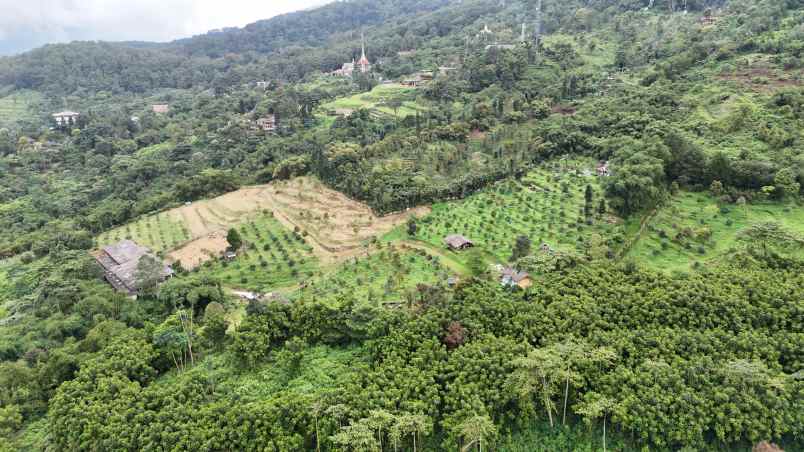 dijual tanah desa sukajadi