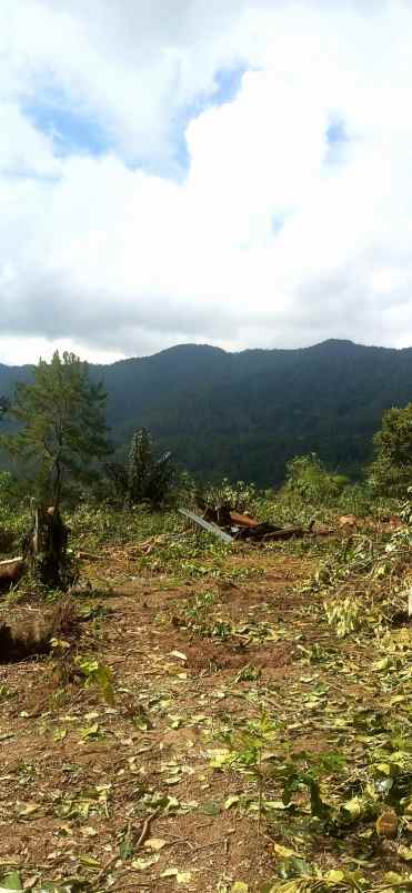 dijual tanah di girsang sipangan bolon simalungun