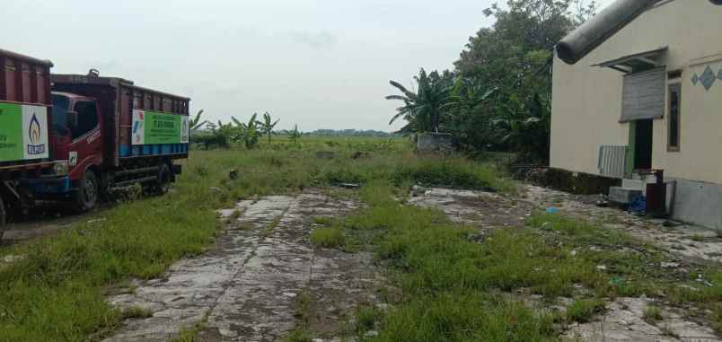 dijual tanah indramayu murah