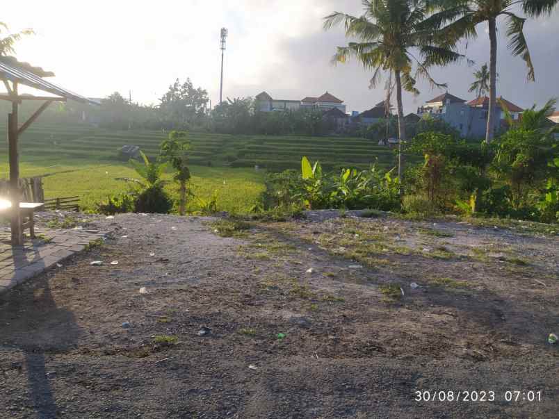 dijual tanah jalan bila