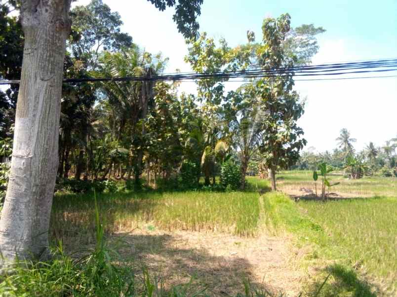 dijual tanah jalan kaliurang km 14