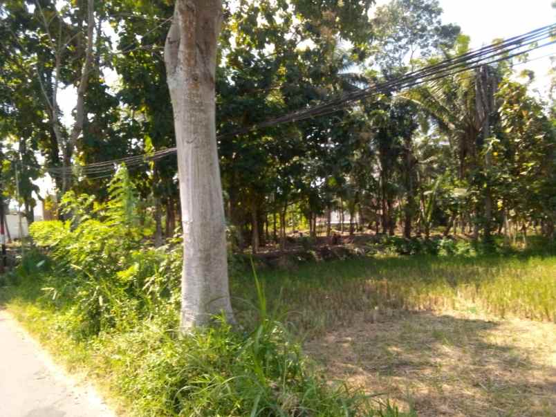 dijual tanah jalan kaliurang km 14