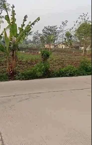 dijual tanah jalan pangauban kp cibodas