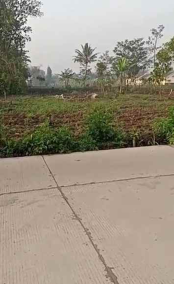 dijual tanah jalan pangauban kp cibodas