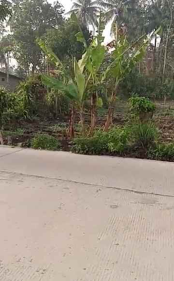 dijual tanah jalan pangauban kp cibodas