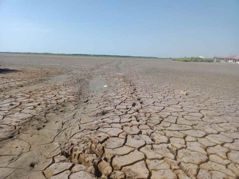 dijual tanah jalan pantura kandanghaur