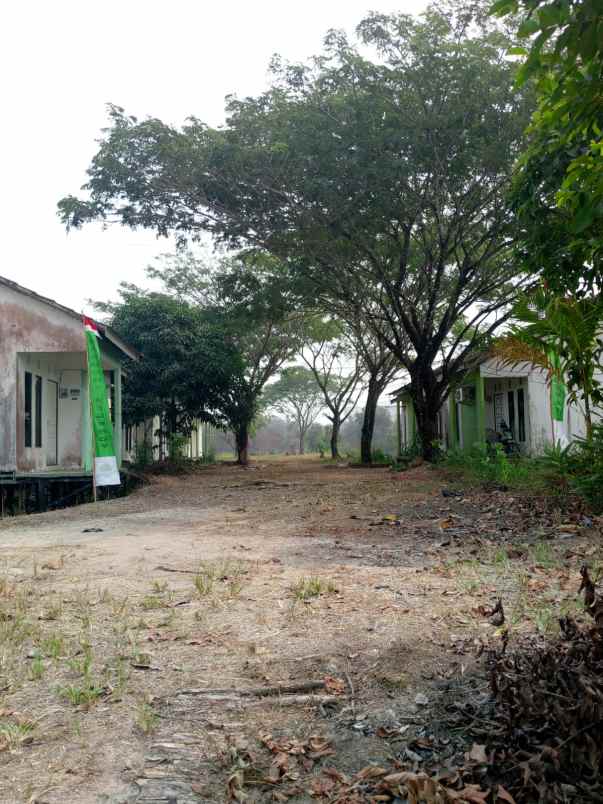dijual tanah jl gubernur syarkawi desa