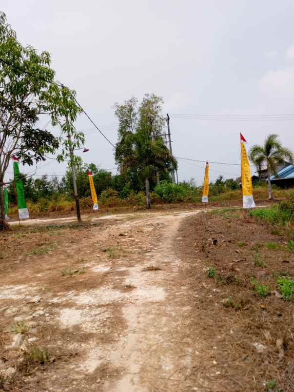 dijual tanah jl gubernur syarkawi desa