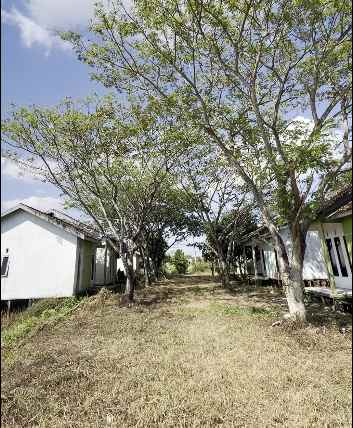 dijual tanah jl gubernur syarkawi desa