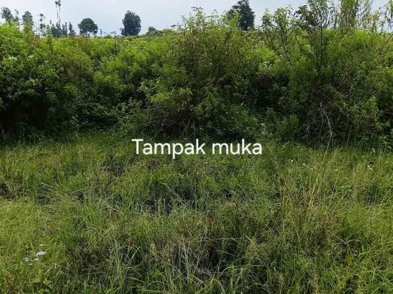 dijual tanah jl h gofur cilame