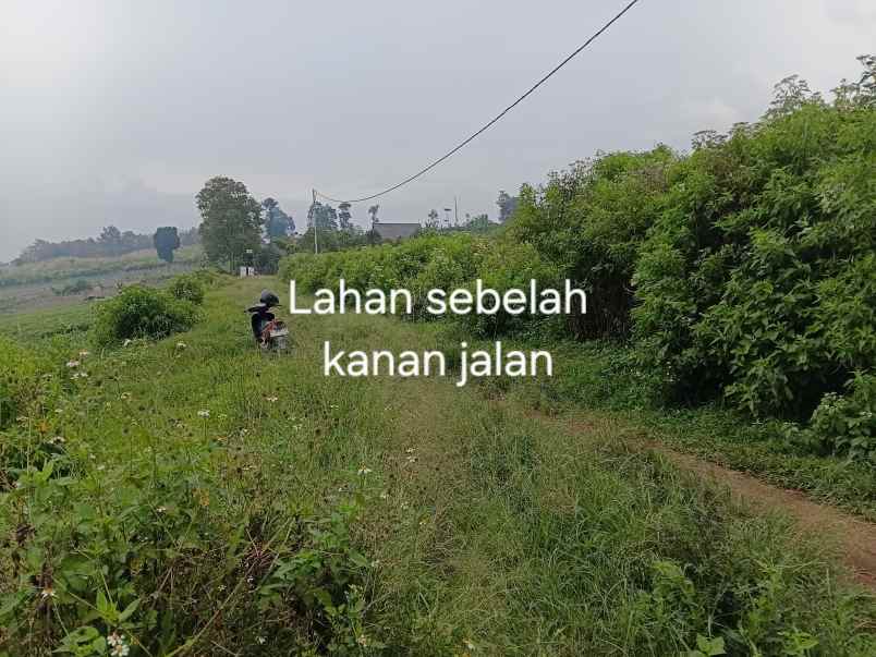 dijual tanah jl h gofur cilame
