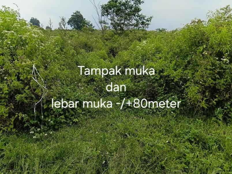 dijual tanah jl h gofur cilame