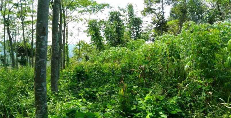 dijual tanah jl raya cicalengka nagreg