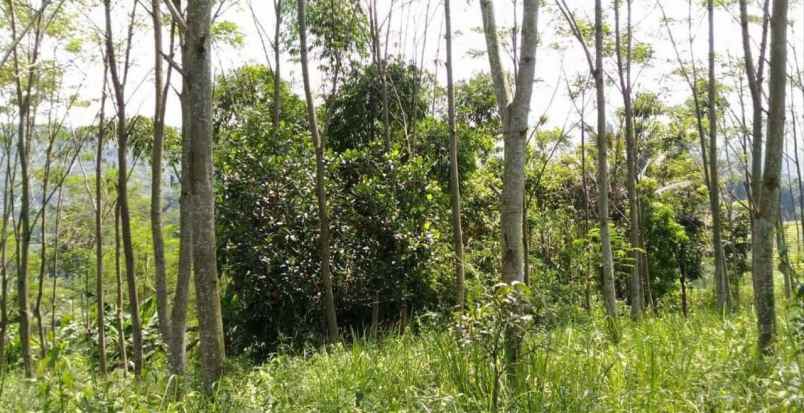 dijual tanah jl raya cicalengka nagreg