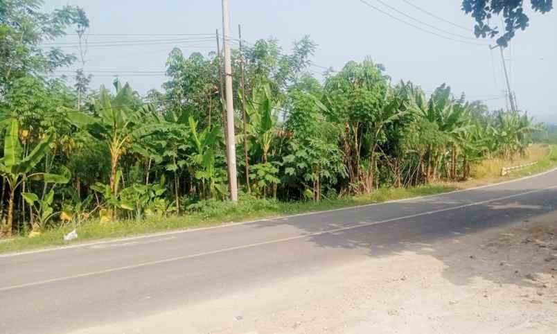 dijual tanah jl raya cipanas kel