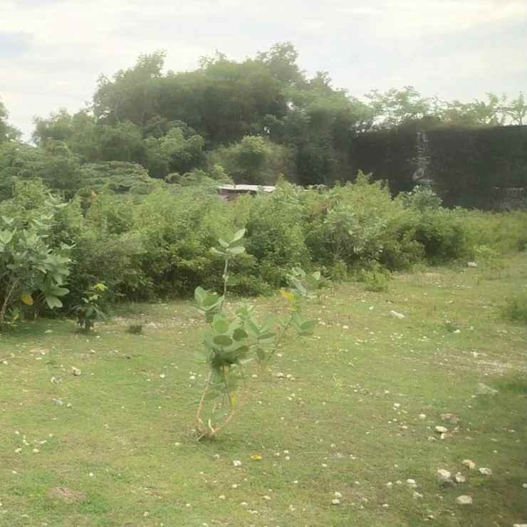 dijual tanah jl raya kampial