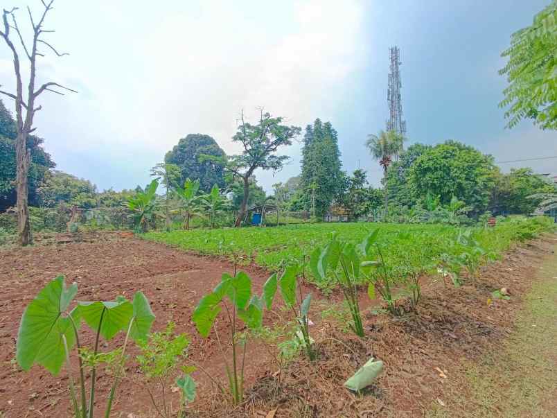dijual tanah kali licin pitara depok