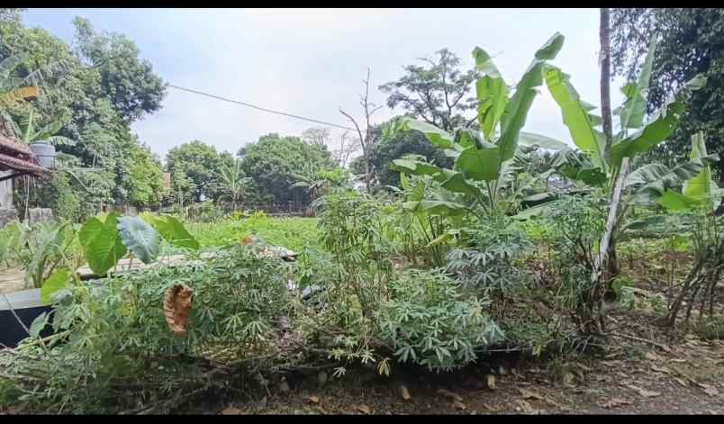 dijual tanah kali licin pitara depok