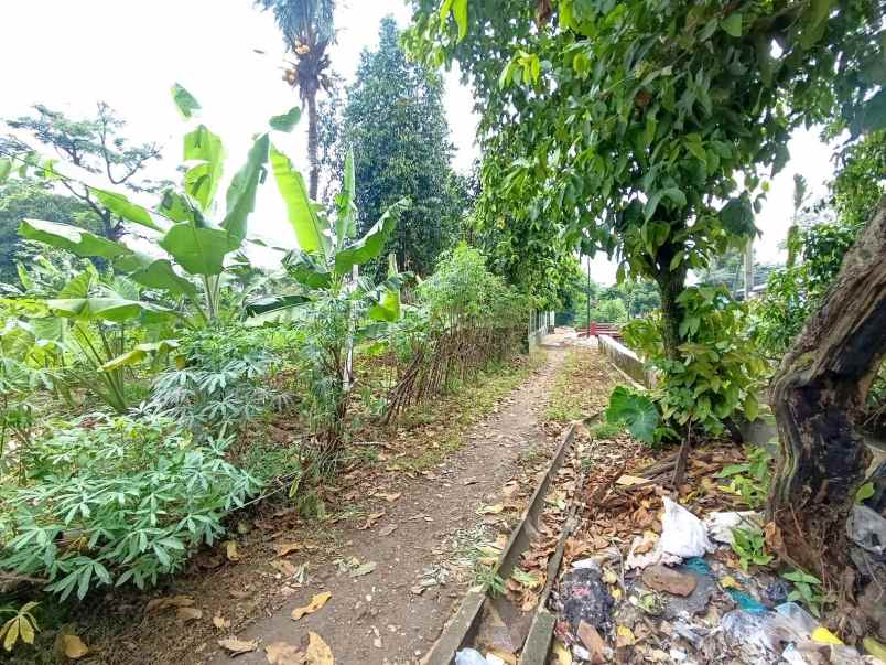 dijual tanah kali licin pitara depok