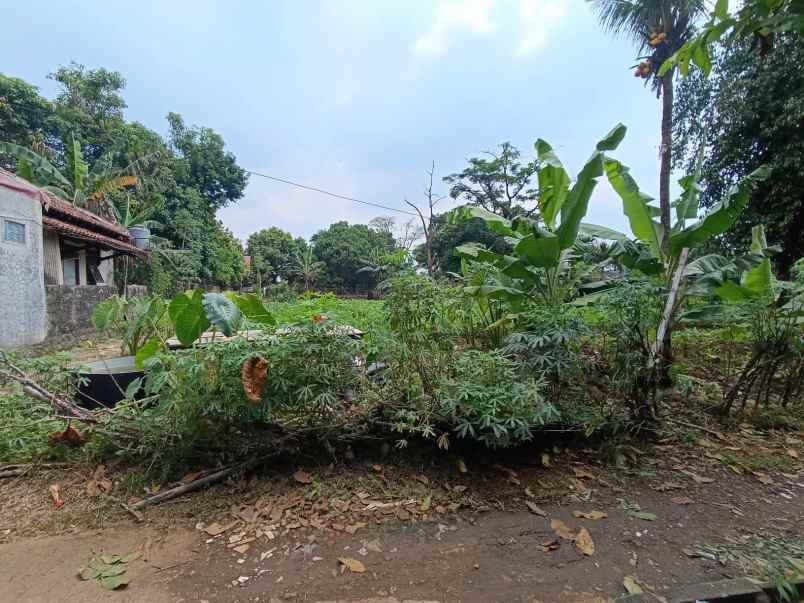 dijual tanah kali licin pitara depok