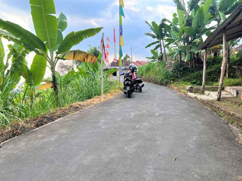 dijual tanah kemuning ngargoyoso