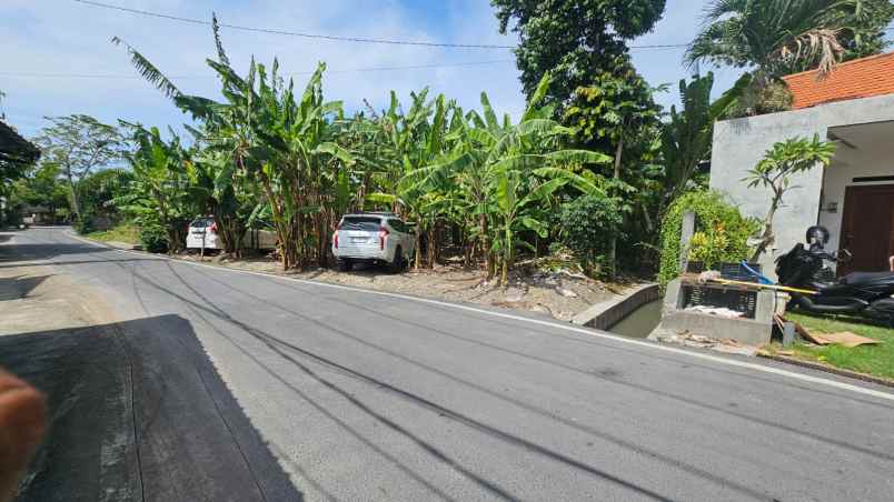 dijual tanah komersil lokasinpererenan canggu