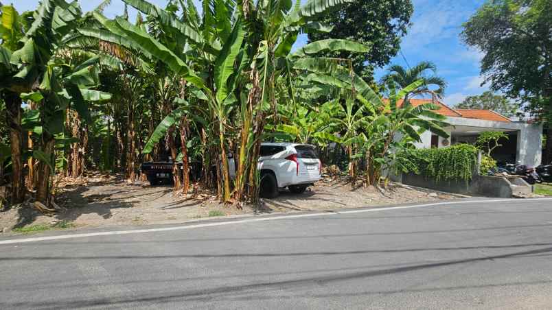 dijual tanah komersil lokasinpererenan canggu