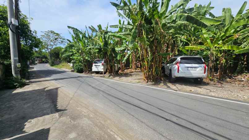 dijual tanah komersil lokasinpererenan canggu