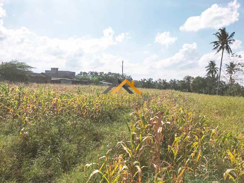 dijual tanah kosong tuntungan ii jalan danamon