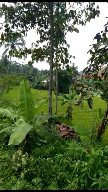 dijual tanah lebak wangi banjaran