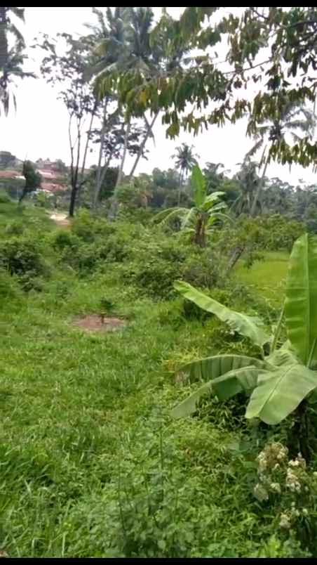 dijual tanah lebak wangi banjaran