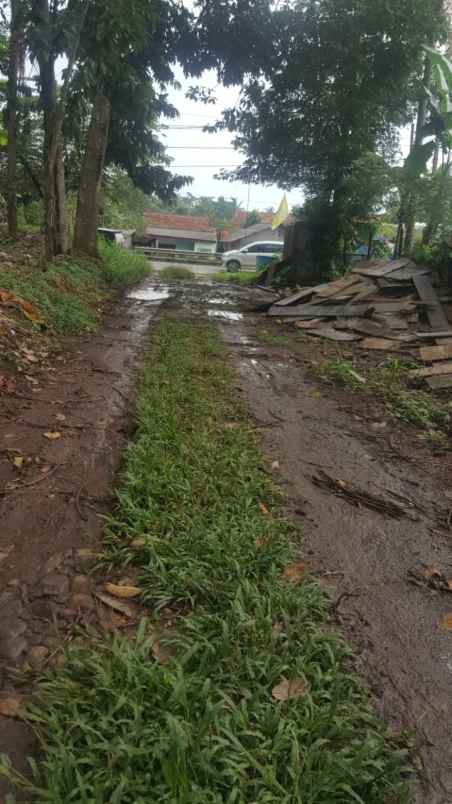 dijual tanah lokasi jalan raya parun