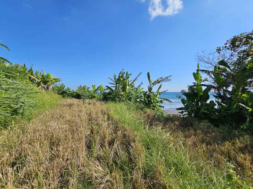 dijual tanah los pantai sudimara tabanan