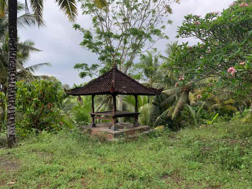 dijual tanah los sungai siap dibangun