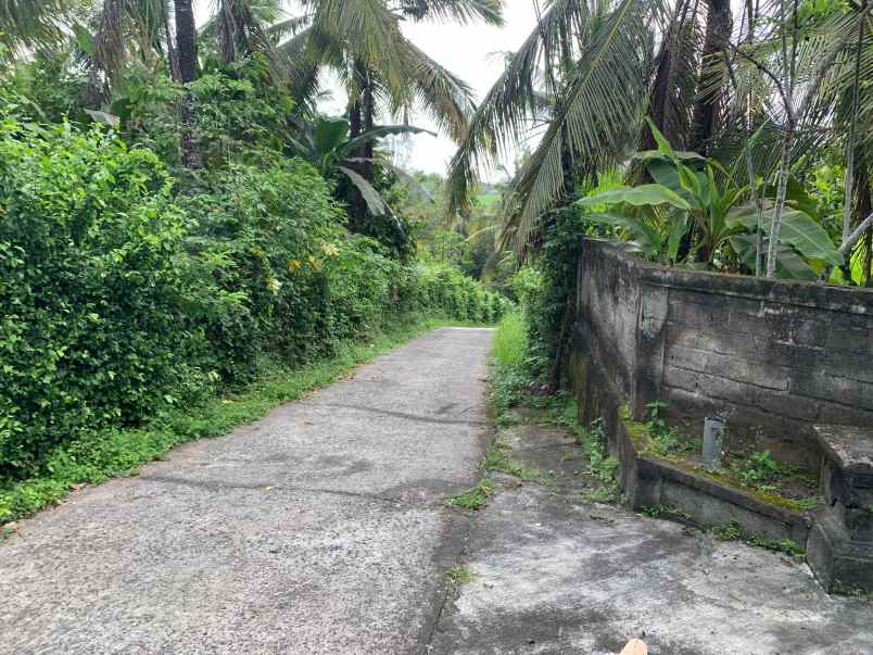 dijual tanah los sungai siap dibangun