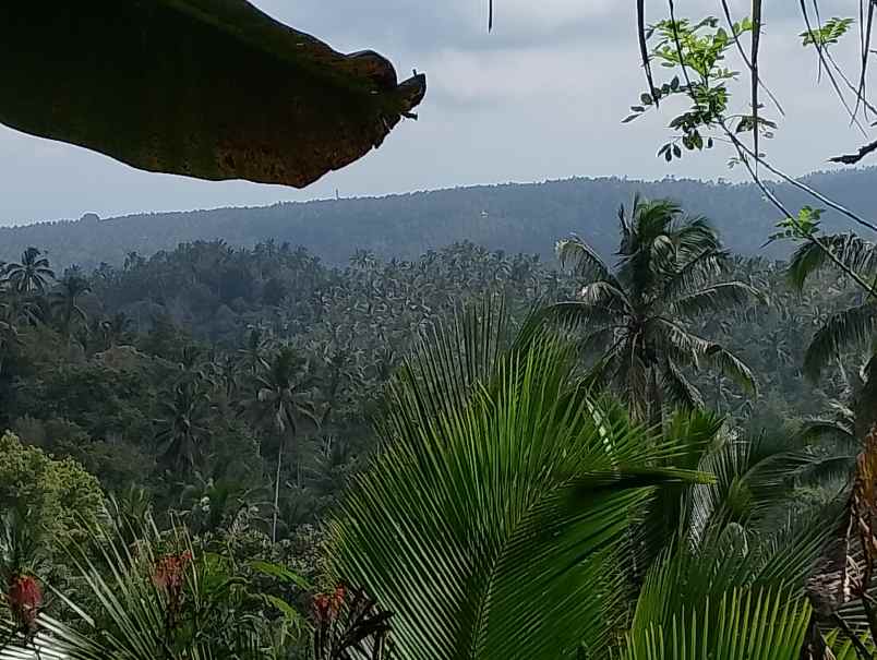 dijual tanah mundeh kangin