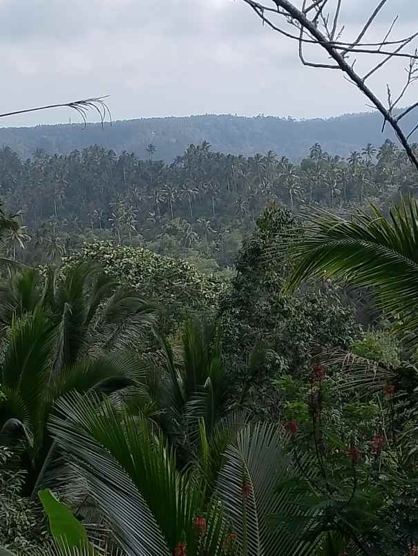 dijual tanah mundeh kangin