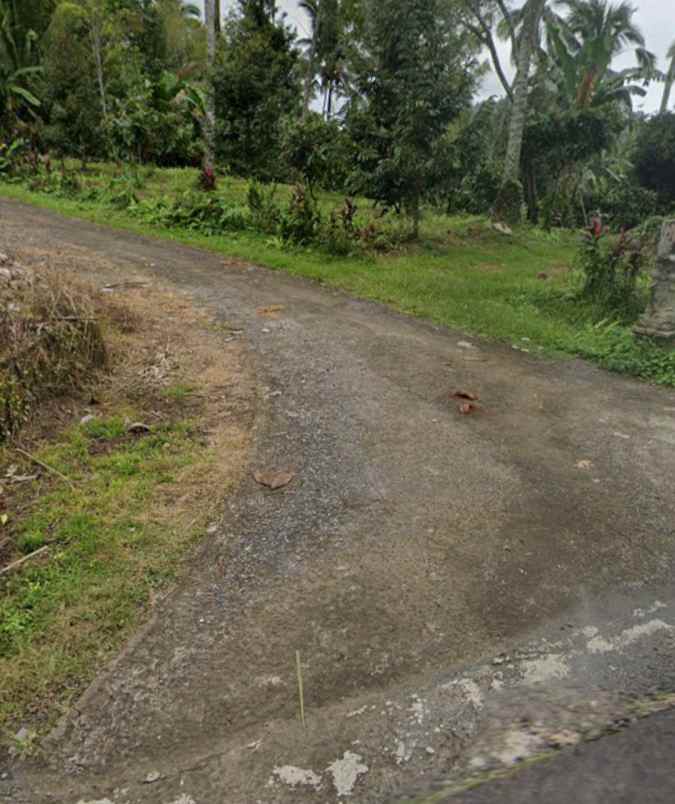 dijual tanah mundeh tabanan bali