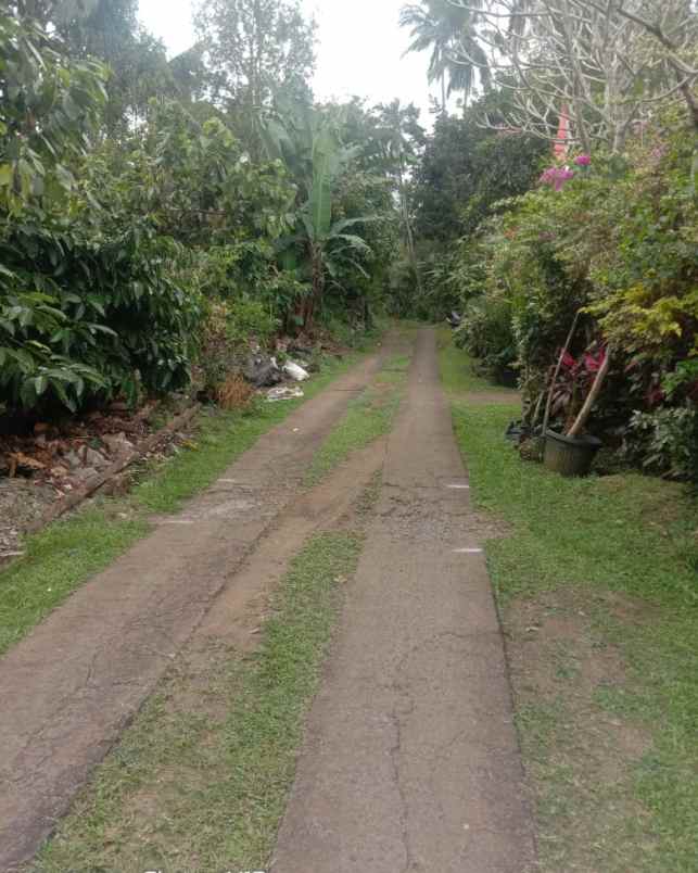 dijual tanah mundeh tabanan bali
