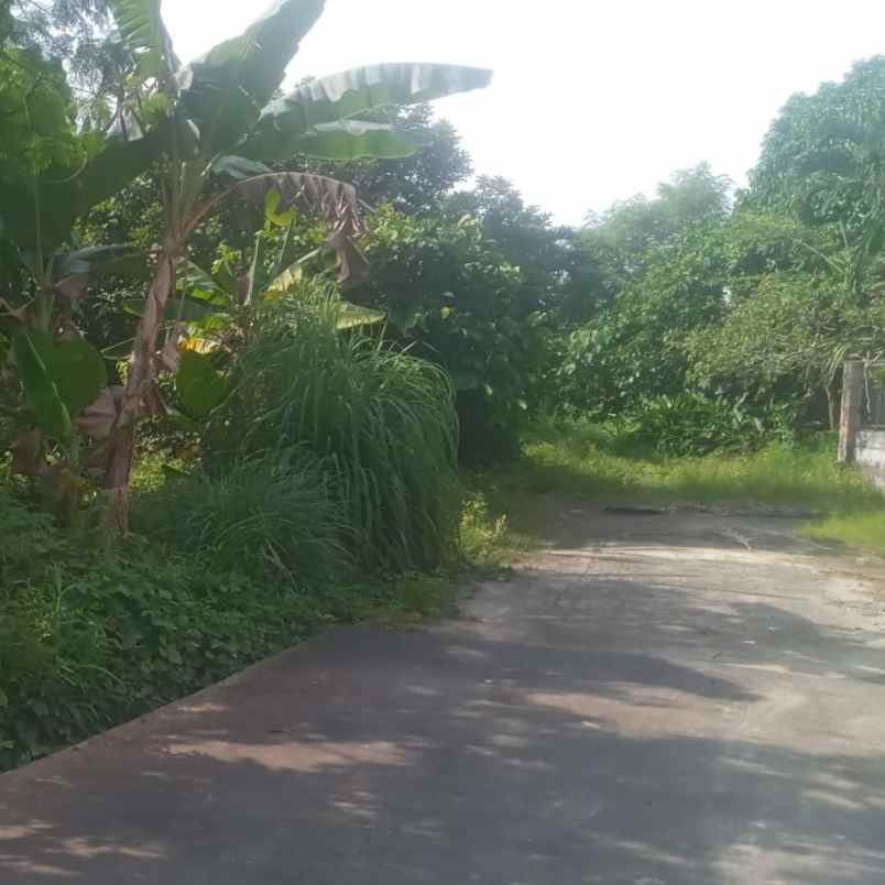 dijual tanah murah palembang lokasi abusamah