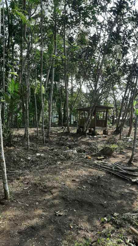 dijual tanah nuren purwosari jalan raya