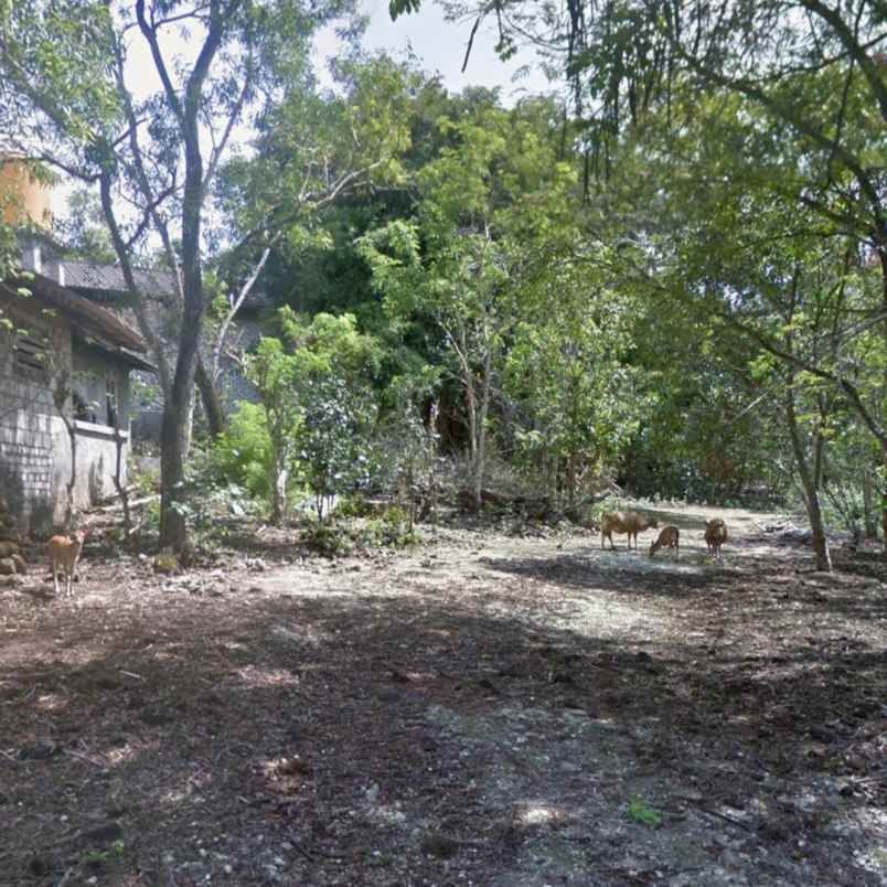 dijual tanah pecatu indah raya