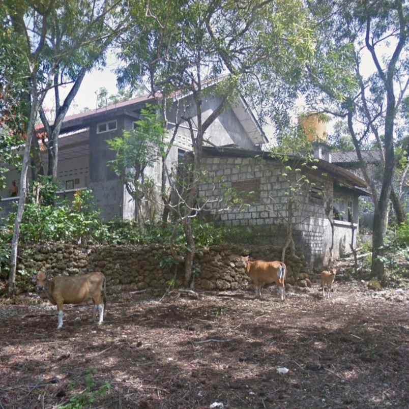 dijual tanah pecatu indah raya