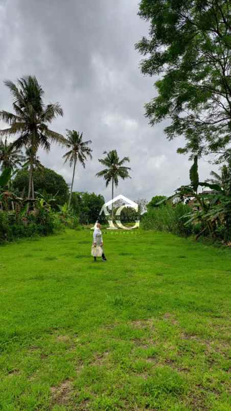 dijual tanah pekarangan di pakembinangun sleman