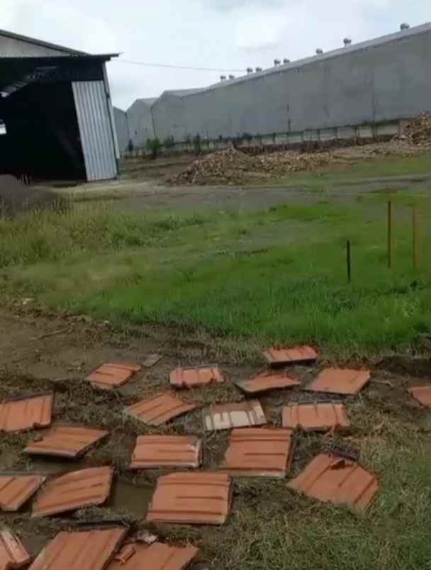 dijual tanah pergudangan cangkir