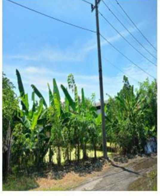 dijual tanah pergudangan cangkir
