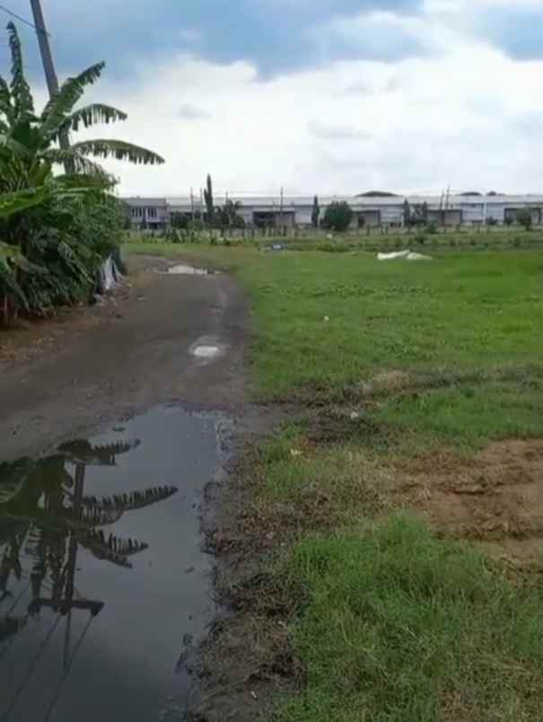 dijual tanah pergudangan cangkir