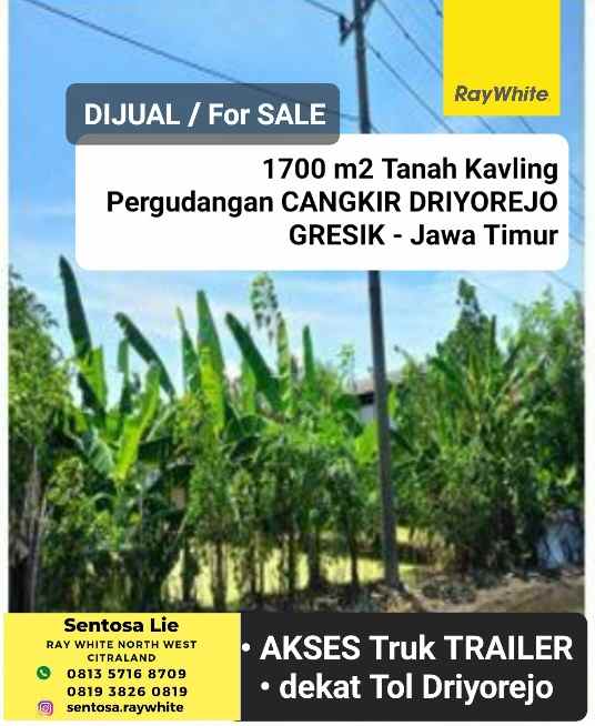 dijual tanah pergudangan cangkir